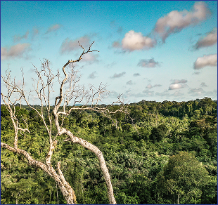 Sustainability & Climate Solutions